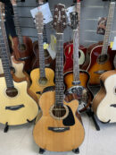 TAKAMINE GN30CE Natural