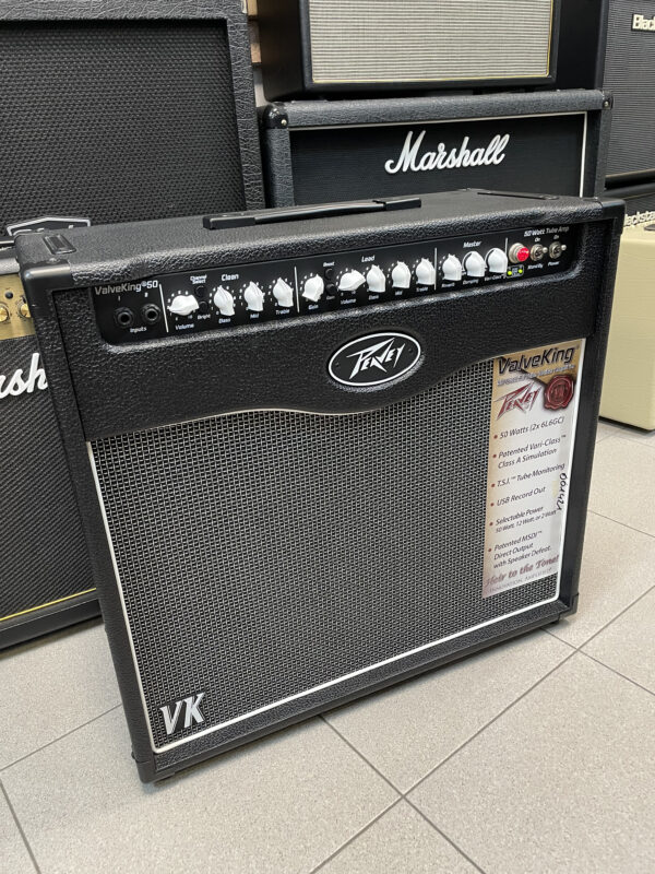 Peavey Valveking 50 - immagine 2