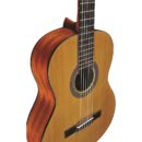 Eko Guitars - Vibra 100 Natural