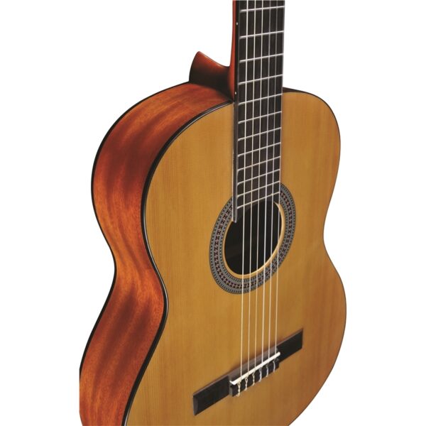 Eko Guitars - Vibra 100 Natural - immagine 2