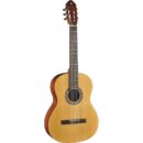 Eko Guitars - Vibra 100 Natural