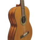 Eko Guitars - Vibra 200 Natural