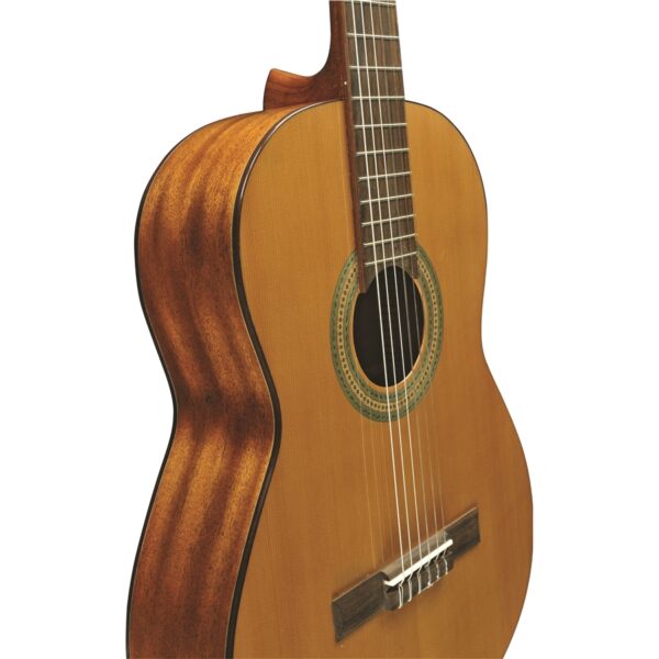 Eko Guitars - Vibra 200 Natural - immagine 2