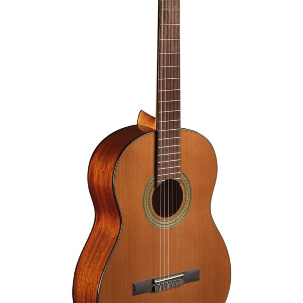 Eko Guitars - Vibra 300 Natural - immagine 2