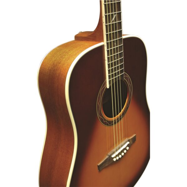 Eko Guitars - One D150 Vintage Burst - immagine 2