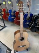 CORT - AC250DX