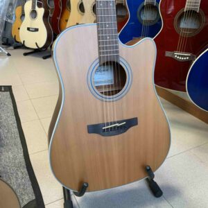TAKAMINE - GD20CE-NS