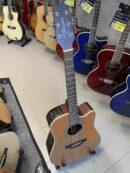 TAKAMINE - GD20CE-NS