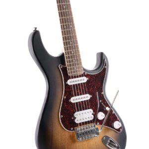 CORT G110 Open Pore Sunburst